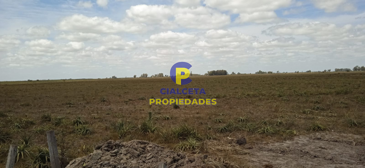 Campo Ref.75 - 643 hectáreas en 33