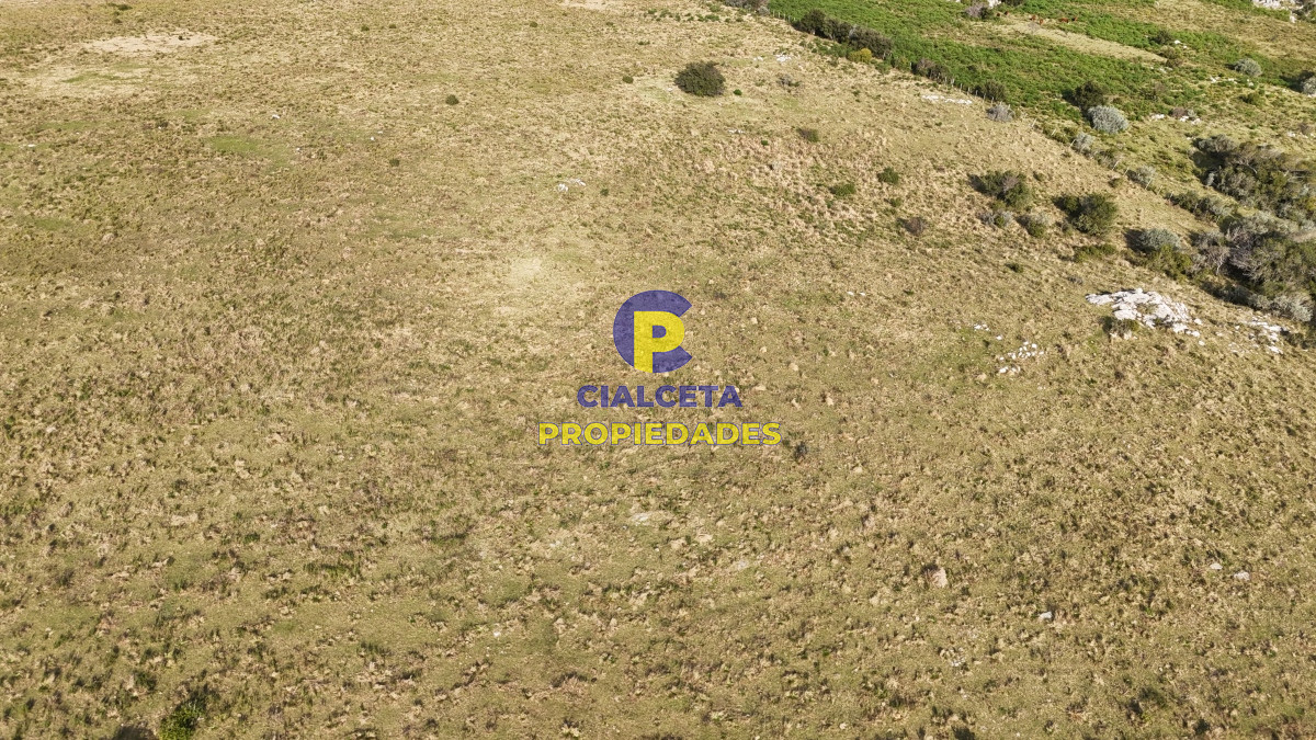 Campo Ref.510 - 95 hectáreas en Maldonado con cañada