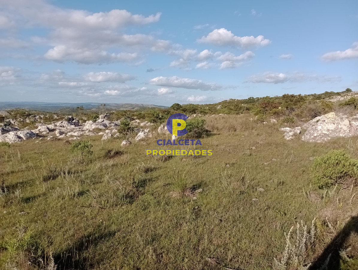 Campo Ref.364 - 27 hectáreas en Maldonado, excelente vista
