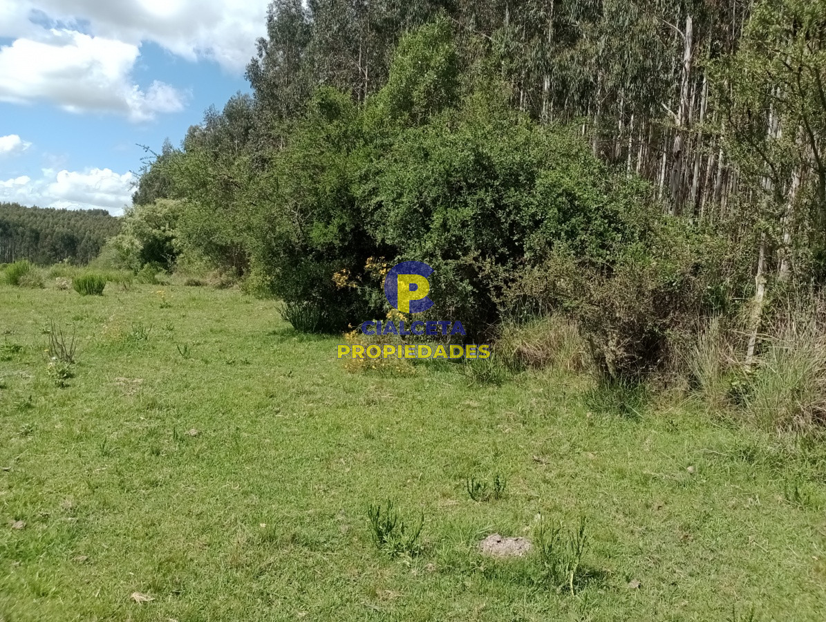 Campo Ref.102 - 98 hectáreas en Maldonado