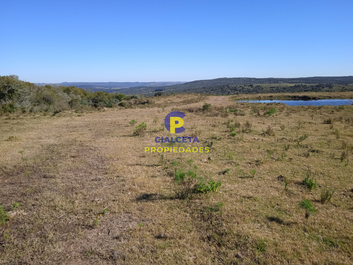 Campo Ref.283 - 273 hectáreas y media en Lavalleja