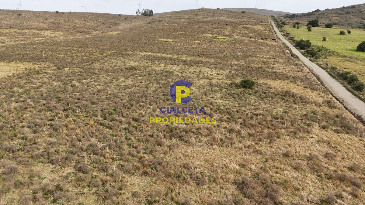 Campo Ref.502 - 86 hectáreas en Maldonado, con aguada, monte y cerro