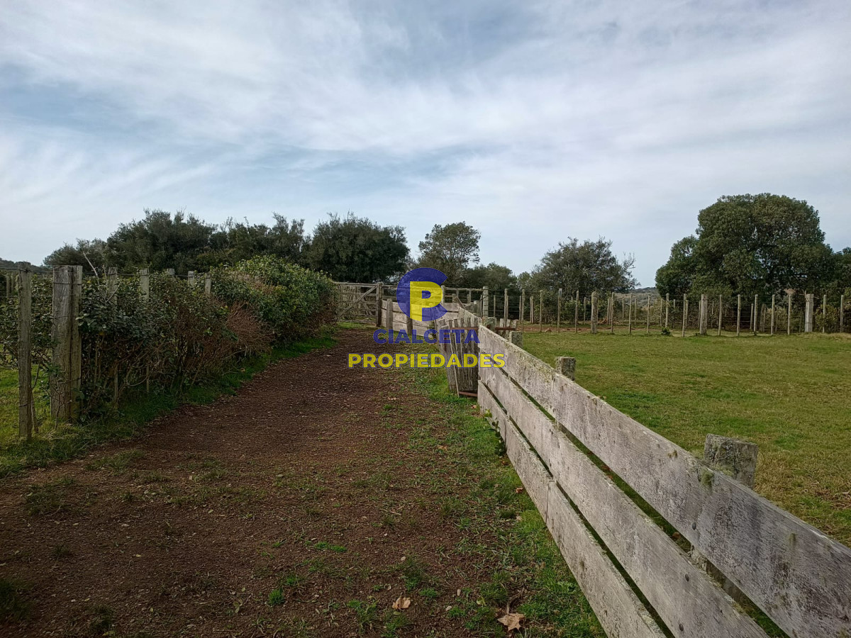 Campo Ref.491 - 80 hectáreas en Maldonado