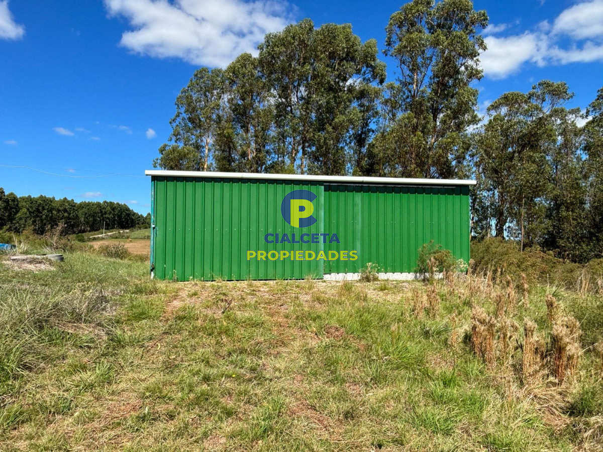 Campo Ref.567 - Linda fracción de 16 hectáreas y media con casa y galpón, buen acceso