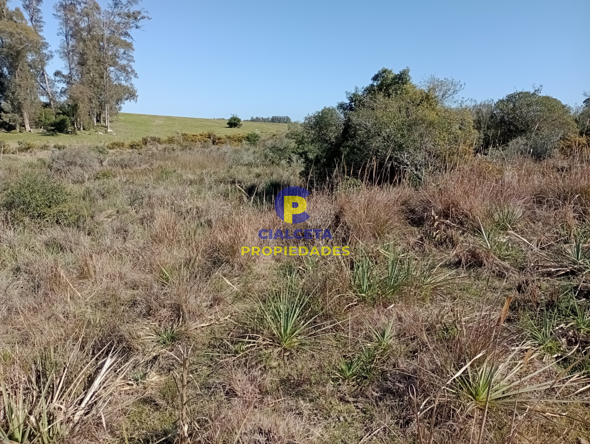 Campo Ref.98 - 125 hectáreas en Rocha