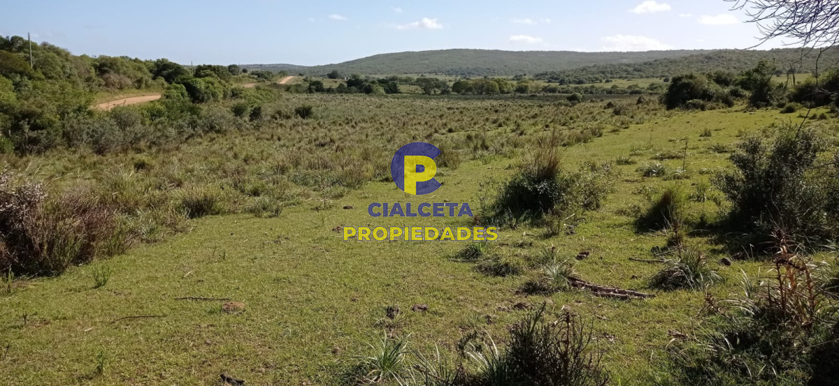 Campo Ref.77 - 419 hectáreas en Rocha