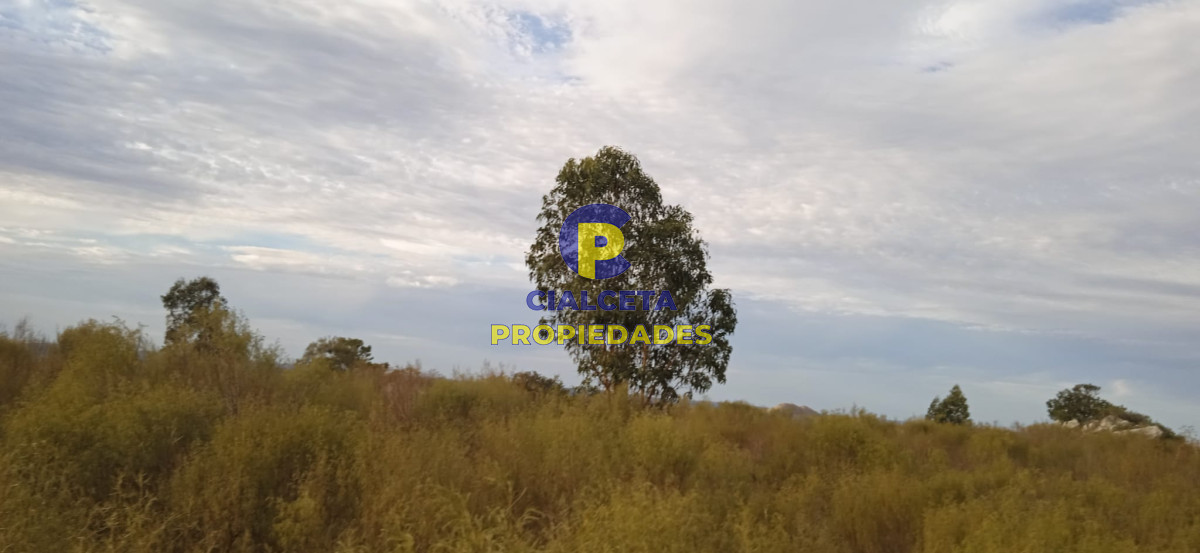Campo Ref.50 - 5 hectáreas, entrega 8.000 U$S y cuotas de 593 U$S