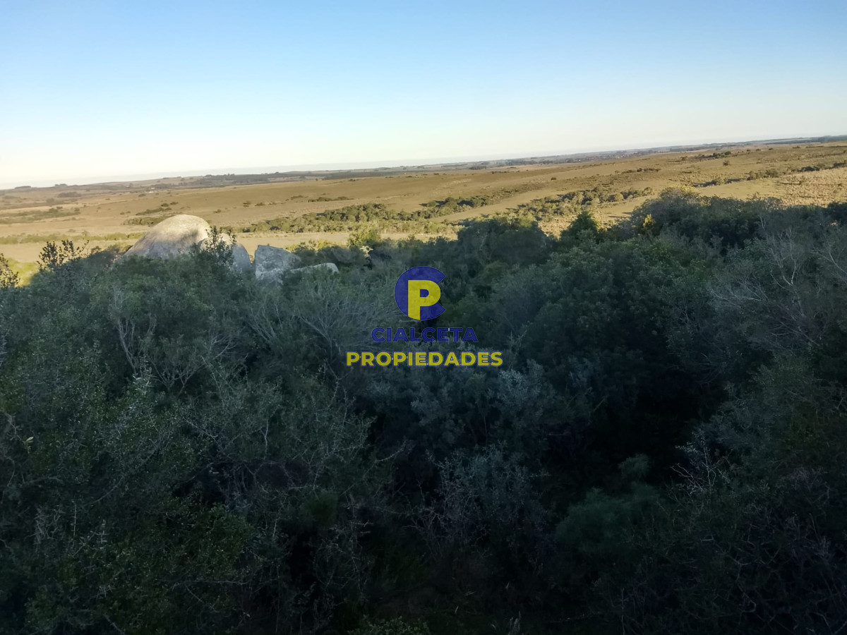 Campo Ref.243 - 60 hectáreas en Garzón