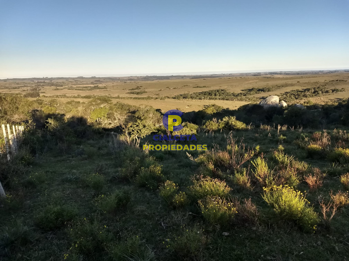 Campo Ref.243 - 60 hectáreas en Garzón