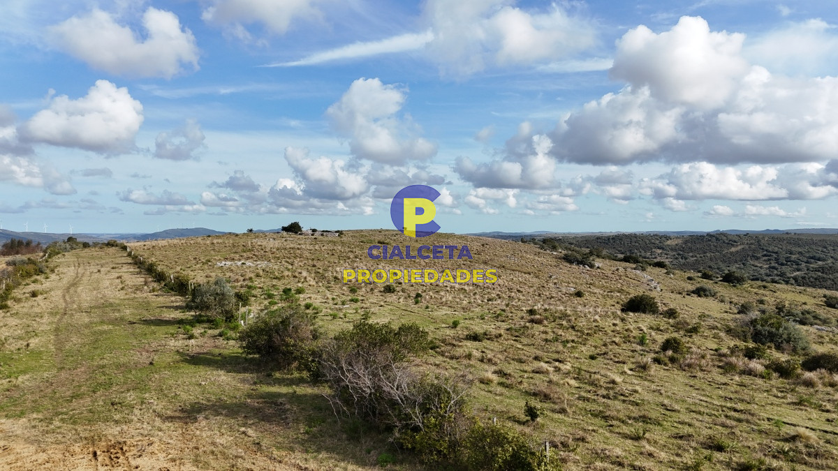 95 hectáreas en Maldonado con cañada - GoPunta - Portal Inmobiliario de Punta del Este - Maldonado