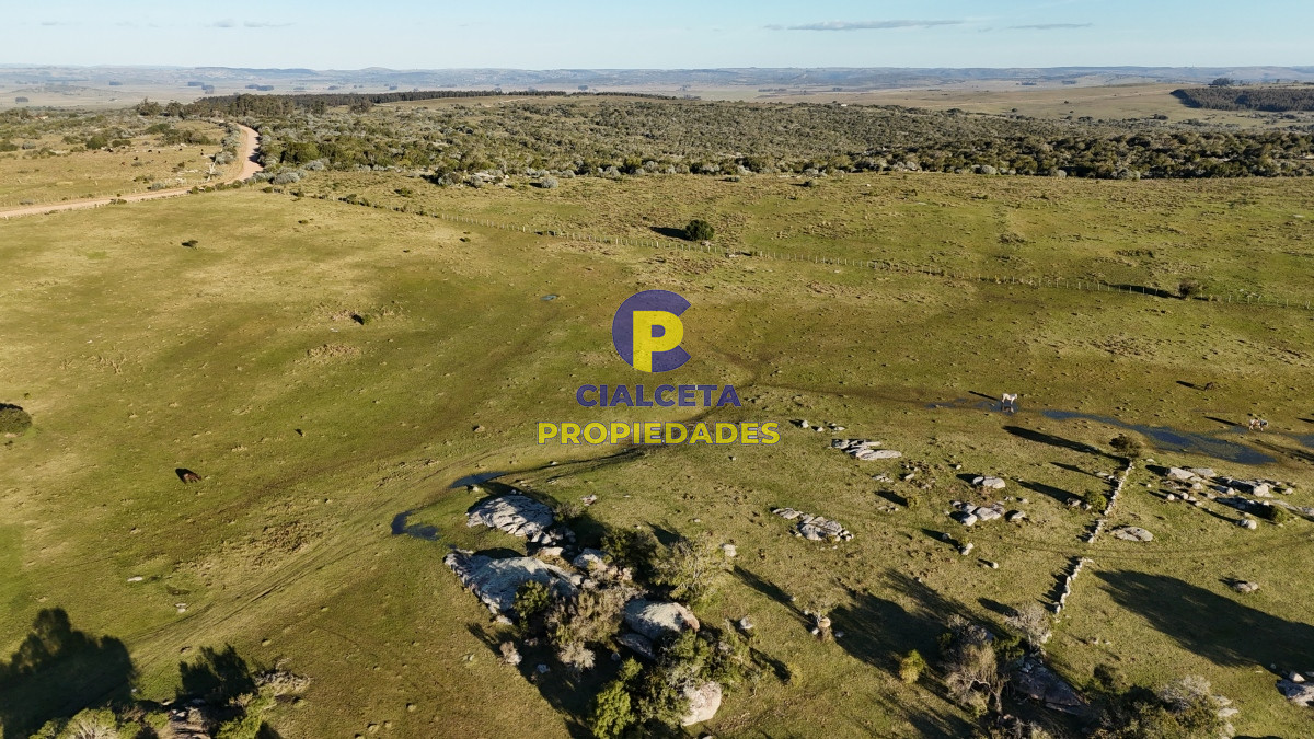 Campo Ref.512 - 55 hectáreas con tajamar y monte nativo