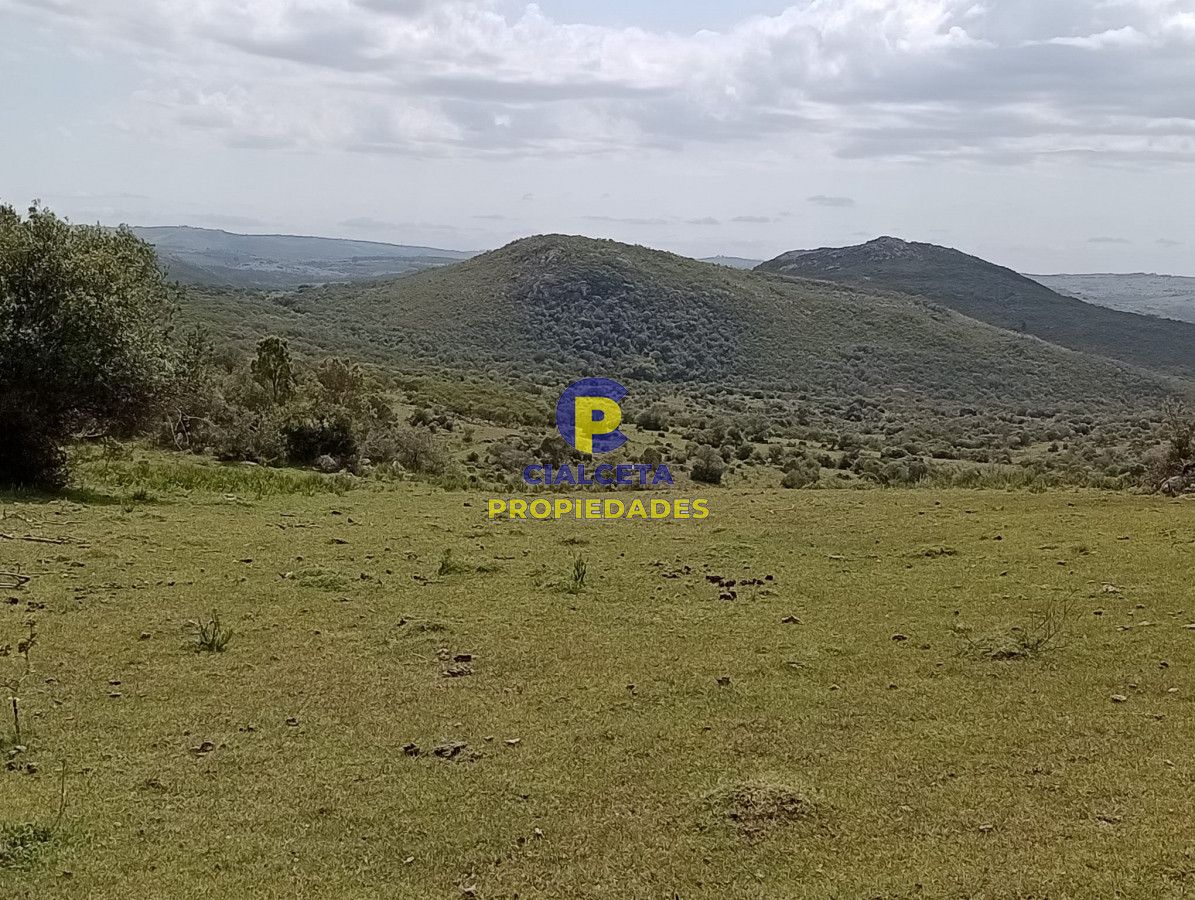 Campo Ref.317 - 55 hectáreas en Maldonado