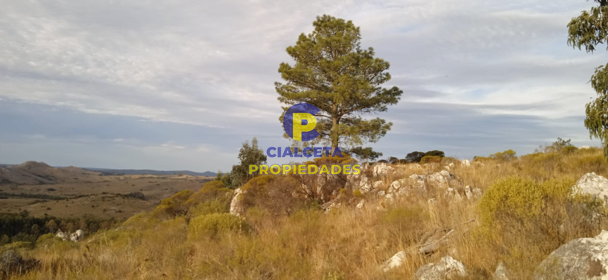 Campo Ref.50 - 5 hectáreas, entrega 8.000 U$S y cuotas de 593 U$S