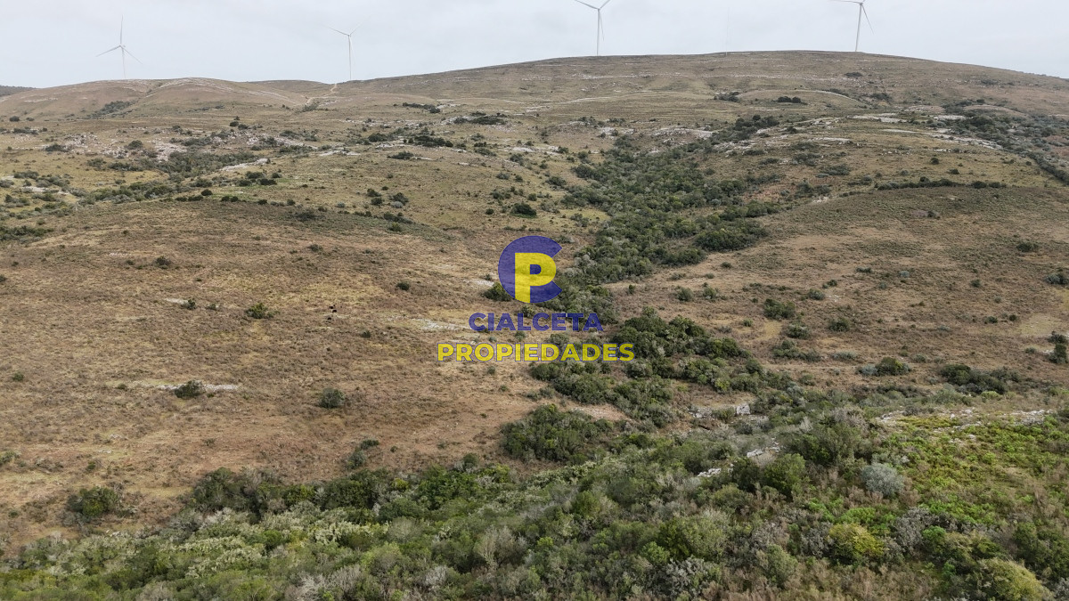 Campo Ref.502 - 86 hectáreas en Maldonado, con aguada, monte y cerro