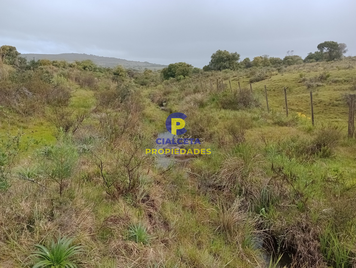 Campo Ref.113 - 5 hectáreas en Maldonado, Pueblo Edén