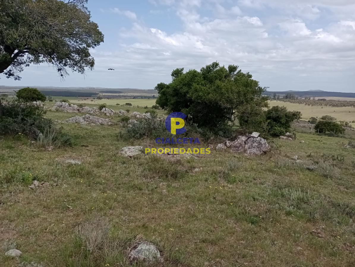 Campo Ref.316 - 32 hectáreas en Maldonado