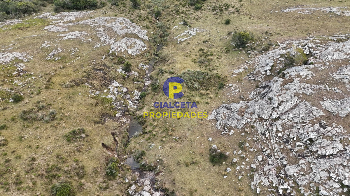Campo Ref.478 - 273 hectáreas en Maldonado