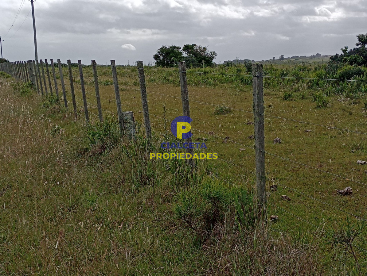 Campo Ref.358 - 198 hectáreas en Garzón