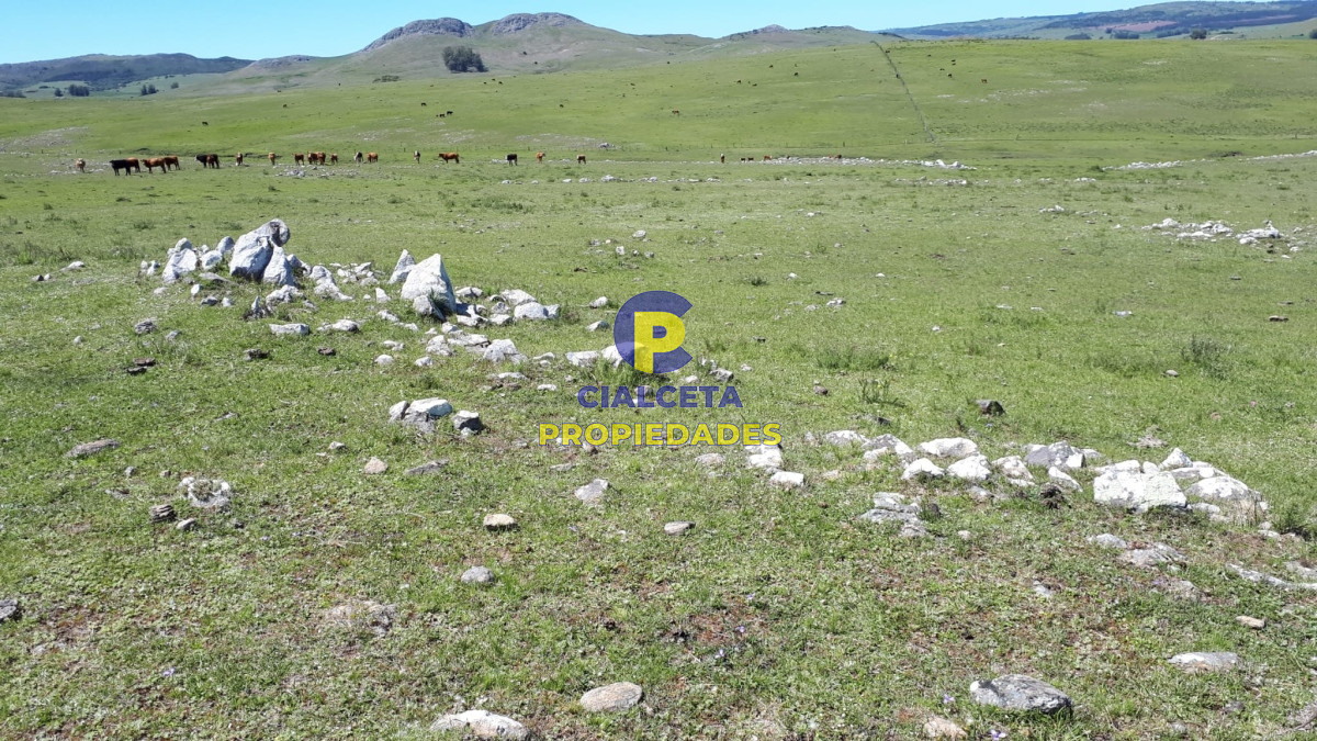 Campo Ref.323 - 115 hectáreas en Lavalleja