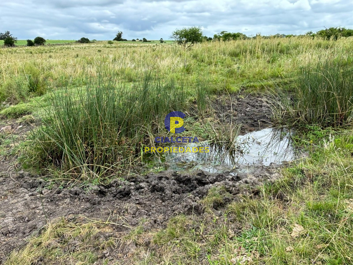 Campo Ref.405 - 59 hectáreas en Canelones