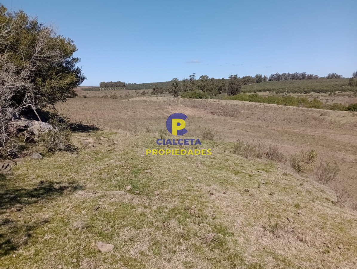 Campo Ref.307 - 16 hectáreas en Maldonado