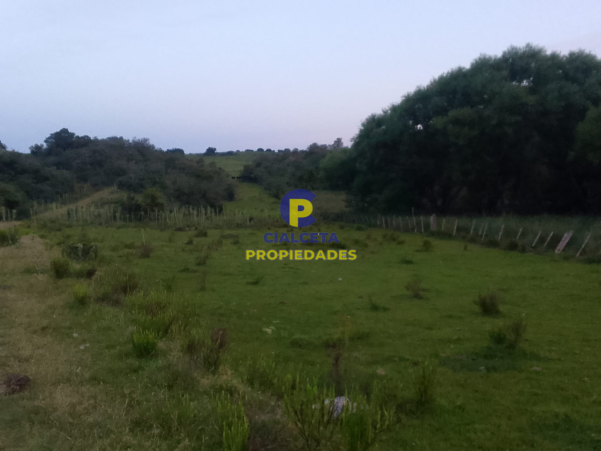 Campo Ref.89 - 330 hectáreas en Lavalleja