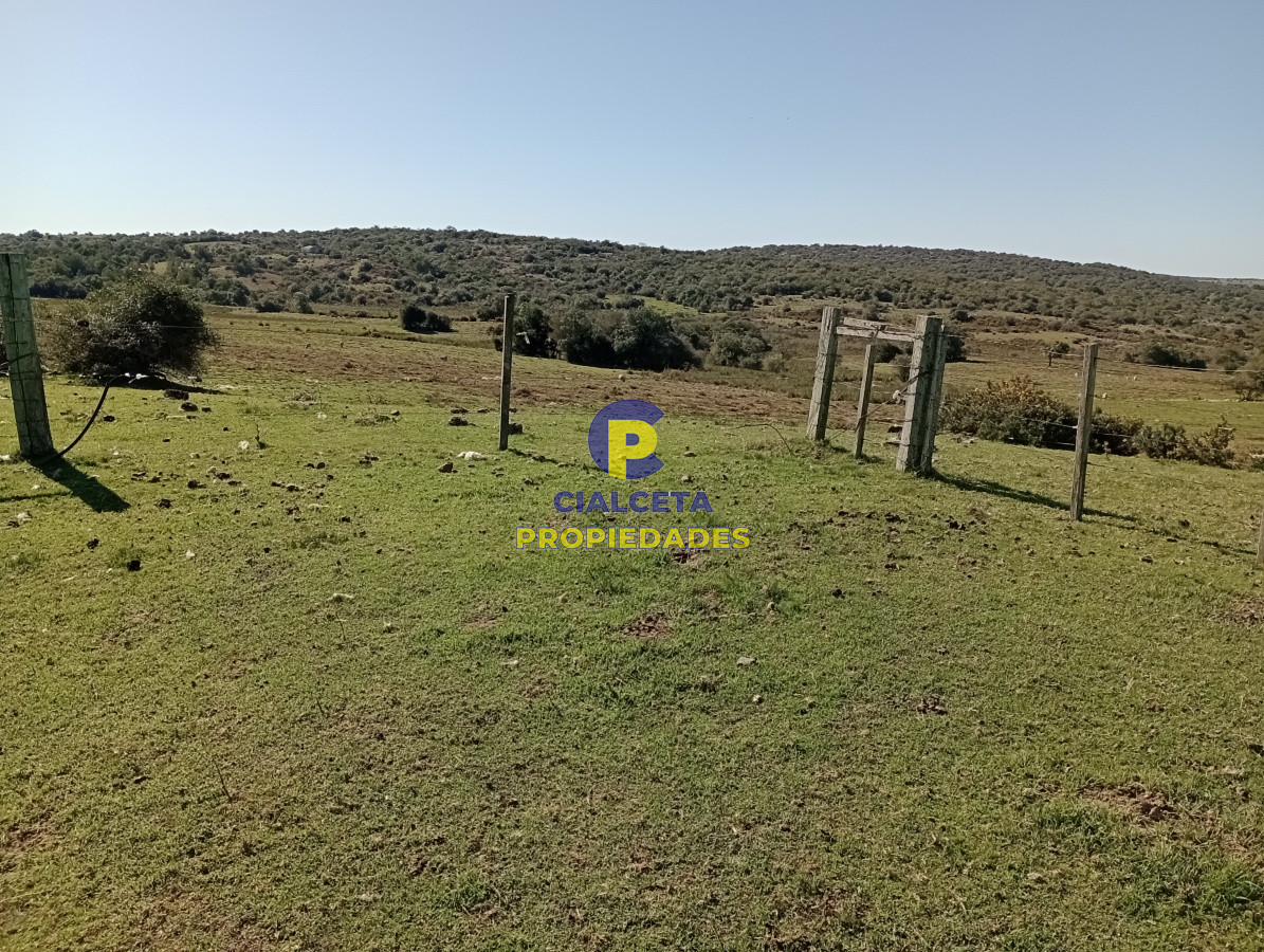 Campo Ref.135 - 2957 hectáreas en Cerro Largo