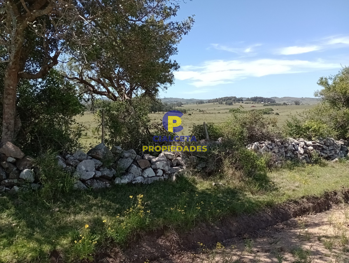 Campo Ref.209 - 5 hectáreas en Pueblo Edén