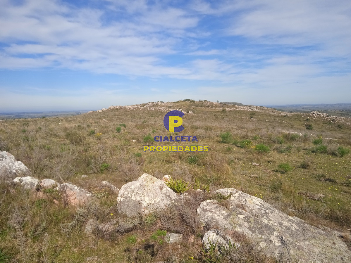 Campo Ref.203 - 5 hectáreas en las Cañas
