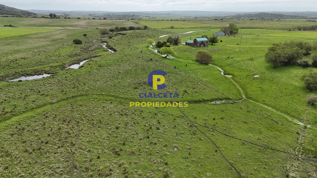 Campo Ref.538 - 68 hectáreas y media en Valle Fuentes con 200 de coneat
