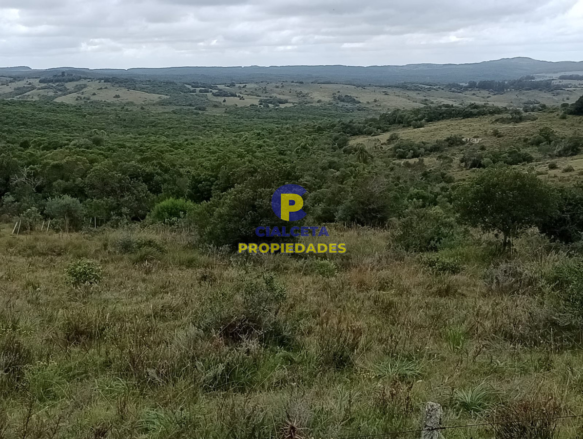 Campo Ref.195 - 48 hectáreas con 8 mil metros en Garzón