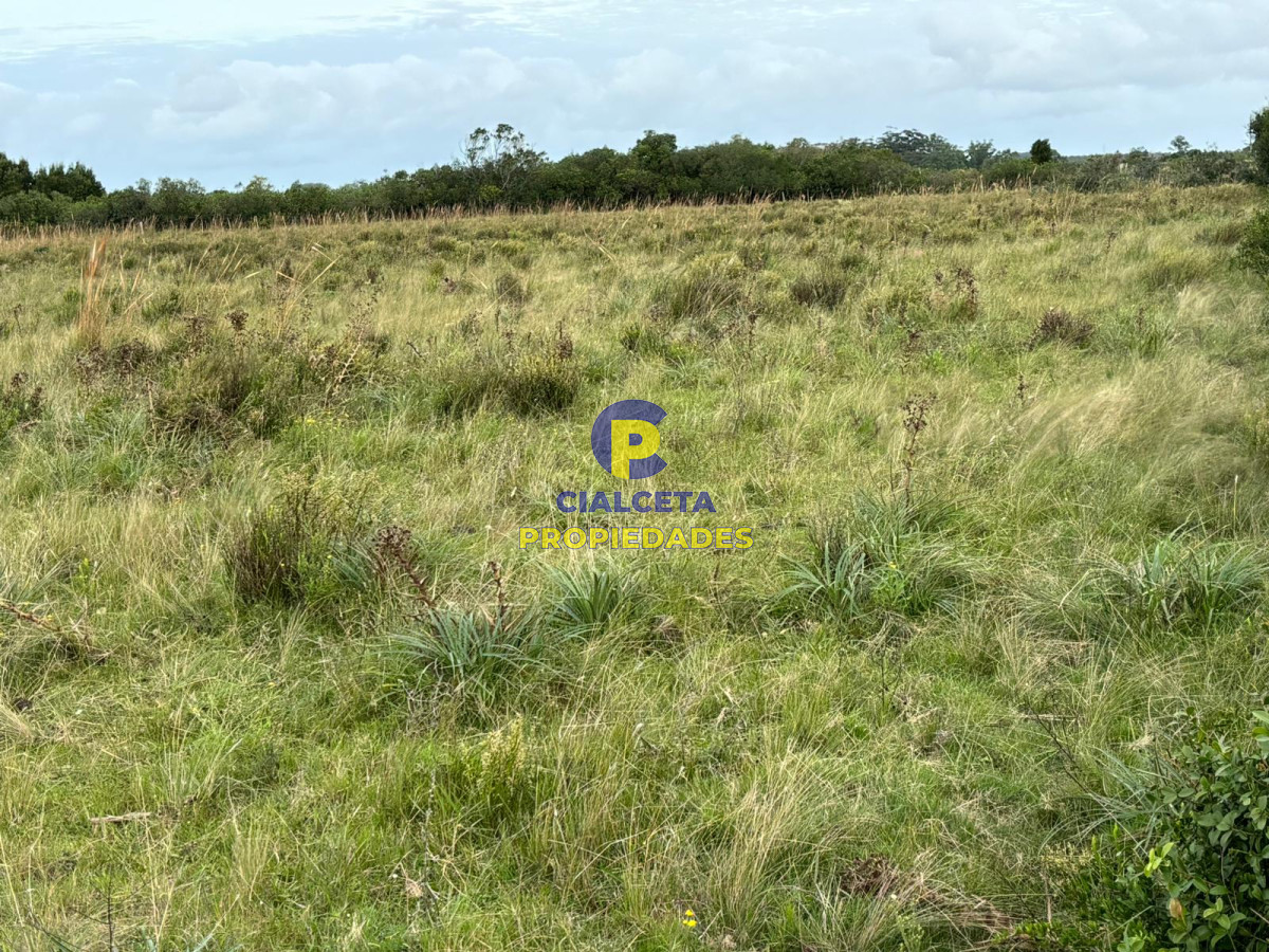 Campo Ref.418 - 50 hectáreas sobre ruta 9