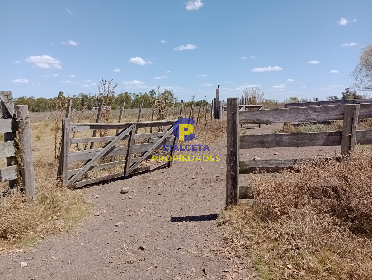 Campo Ref.134 - 21 hectáreas en Lavalleja
