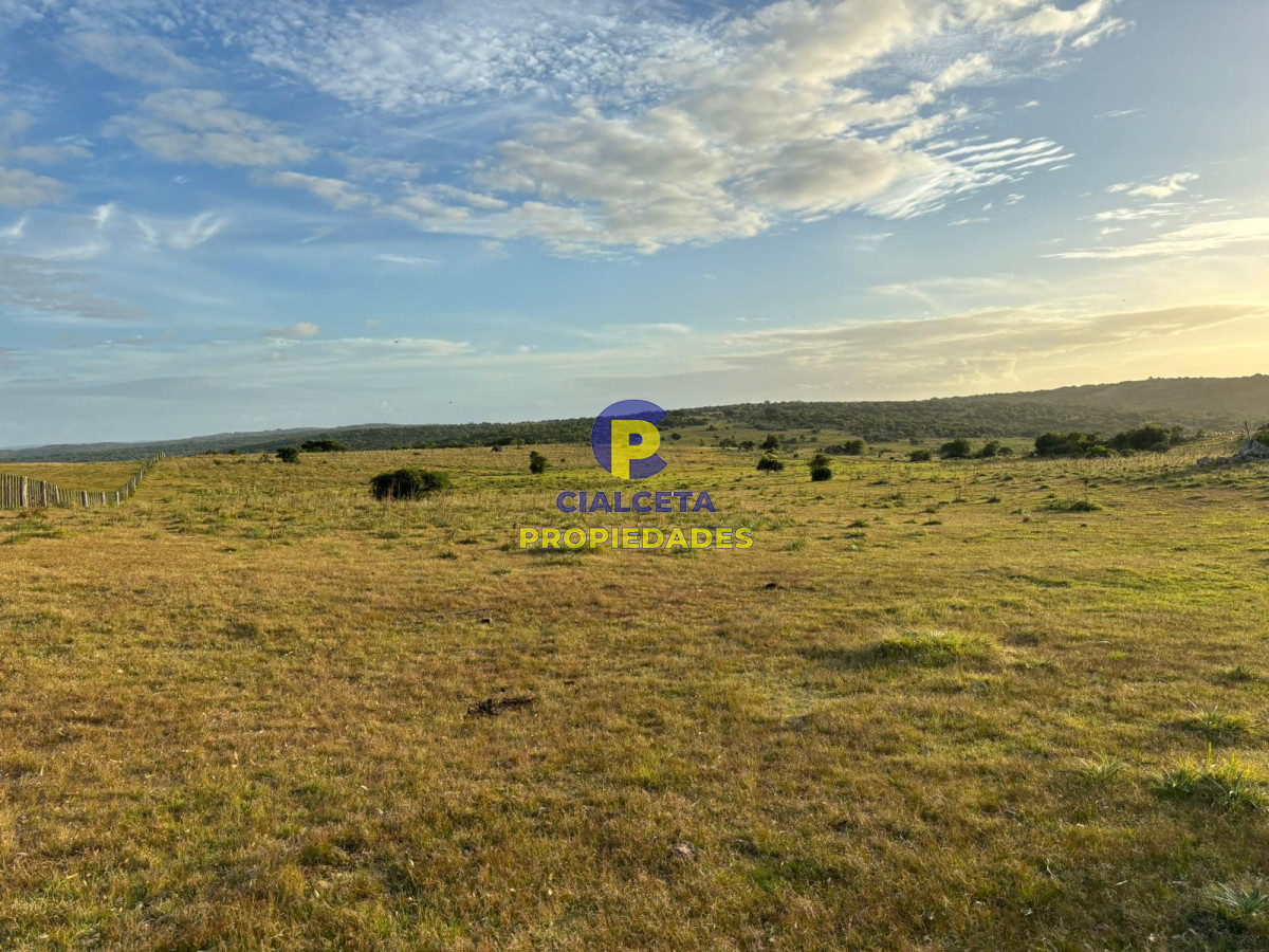 Campo Ref.399 - 121 hectáreas en Rocha