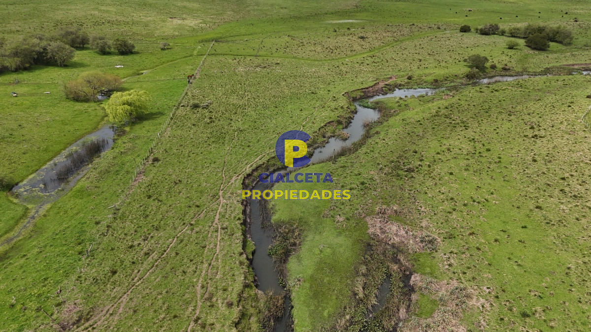Campo Ref.538 - 68 hectáreas y media en Valle Fuentes con 200 de coneat