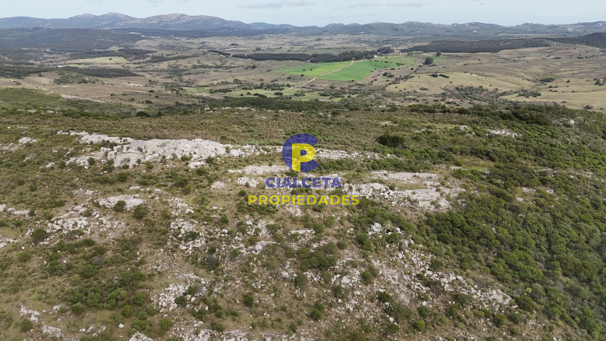Campo Ref.508 - 31 hectáreas con casa , cerro y buen acceso
