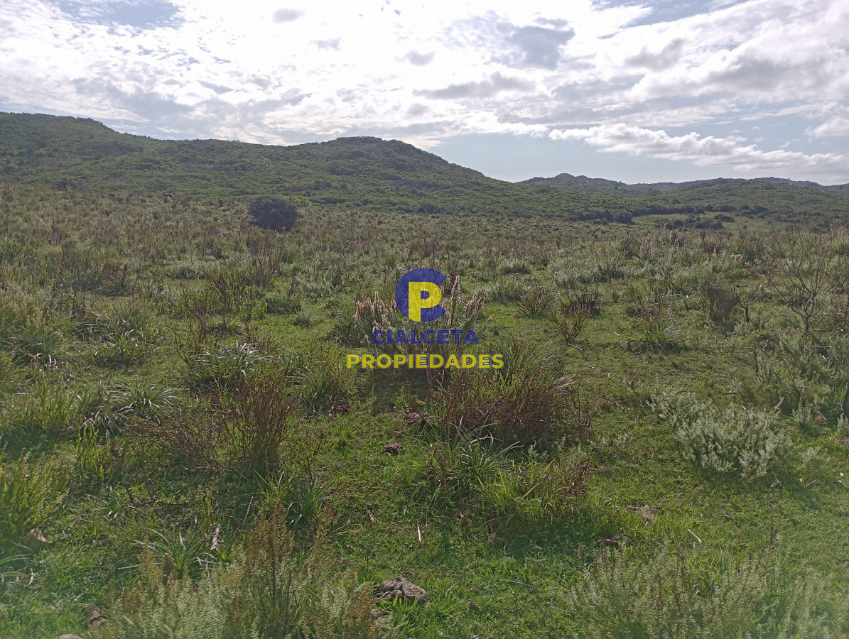 Campo Ref.141 - 490 hectáreas en Maldonado