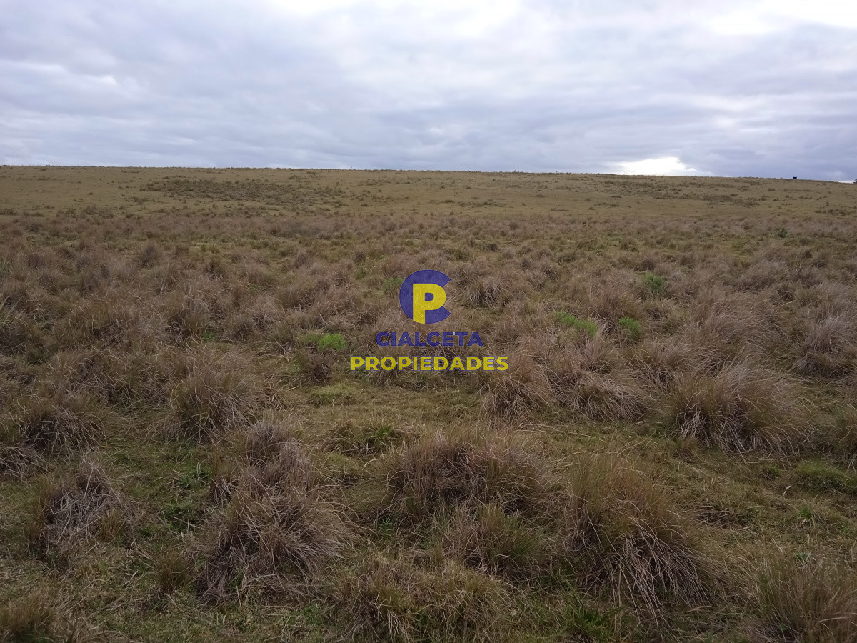 Campo Ref.122 - 60 hectáreas en Garzón