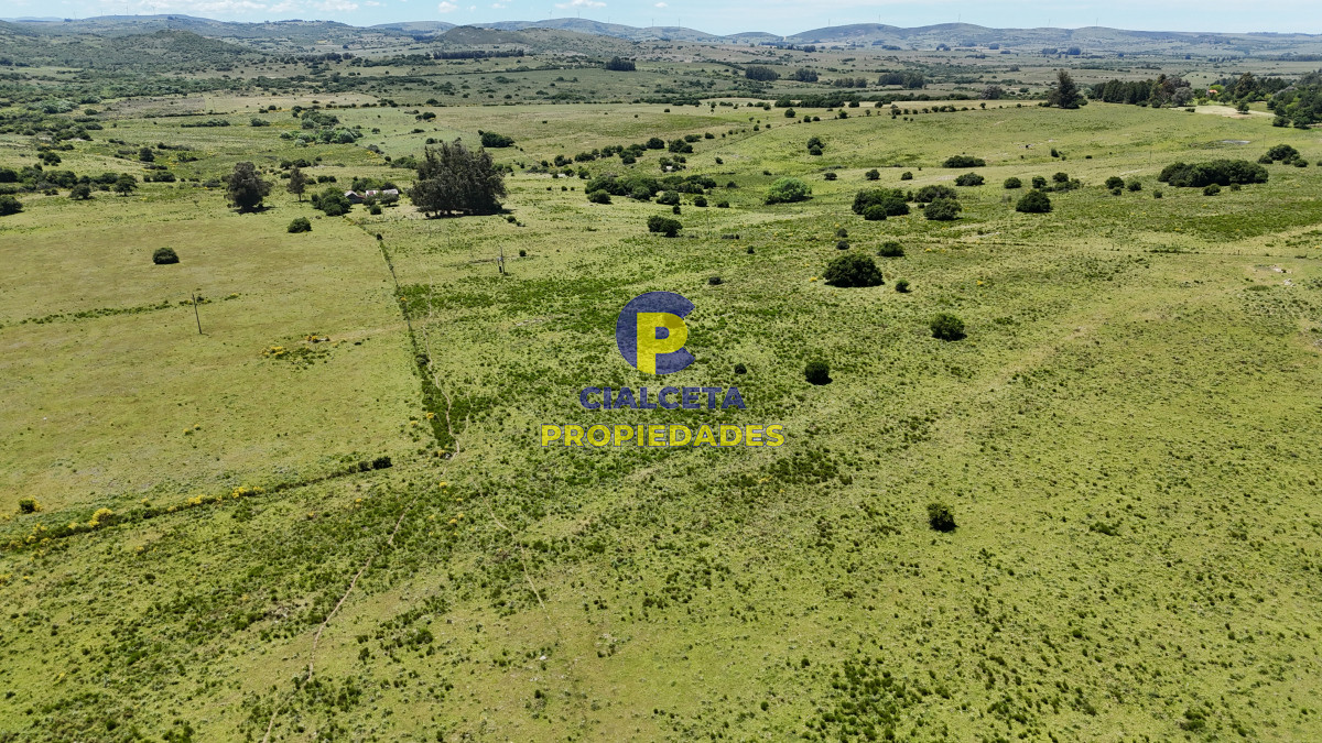 Campo Ref.554 - 109 hectáreas en Maldonado