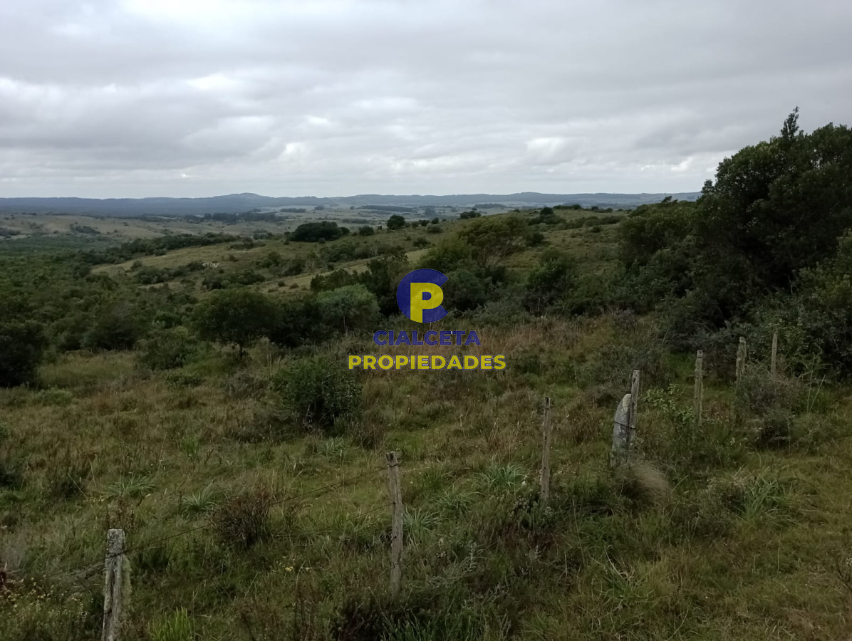 Campo Ref.195 - 48 hectáreas con 8 mil metros en Garzón