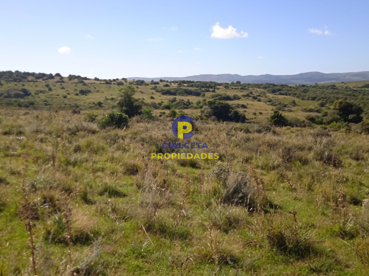 Campo Ref.127 - 35 hectáreas en Maldonado
