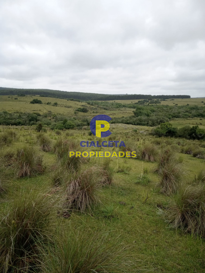 Campo Ref.452 - 108 hectáreas a 12 km de Garzón