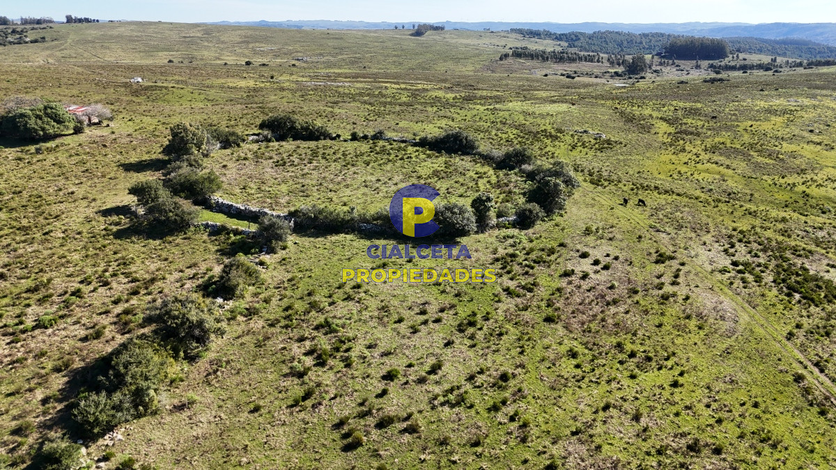 Campo Ref.511 - 29 hectáreas en Lavalleja