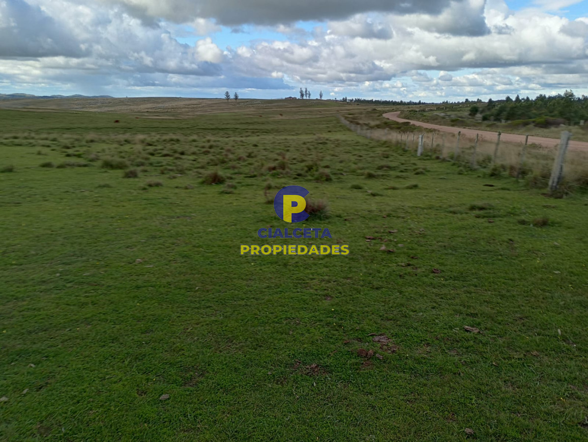 Campo Ref.175 - 140 hectáreas en Lavalleja
