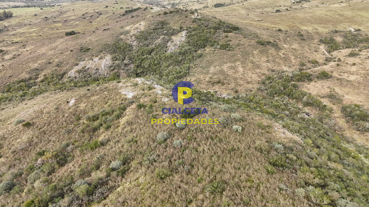 Campo Ref.502 - 86 hectáreas en Maldonado, con aguada, monte y cerro