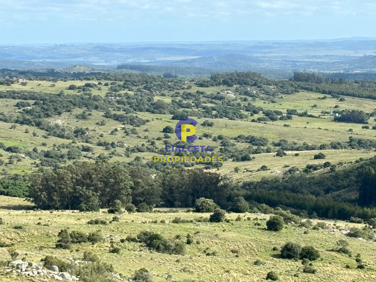 Campo Ref.416 - 96 hectáreas en Maldonado, excelentes vistas