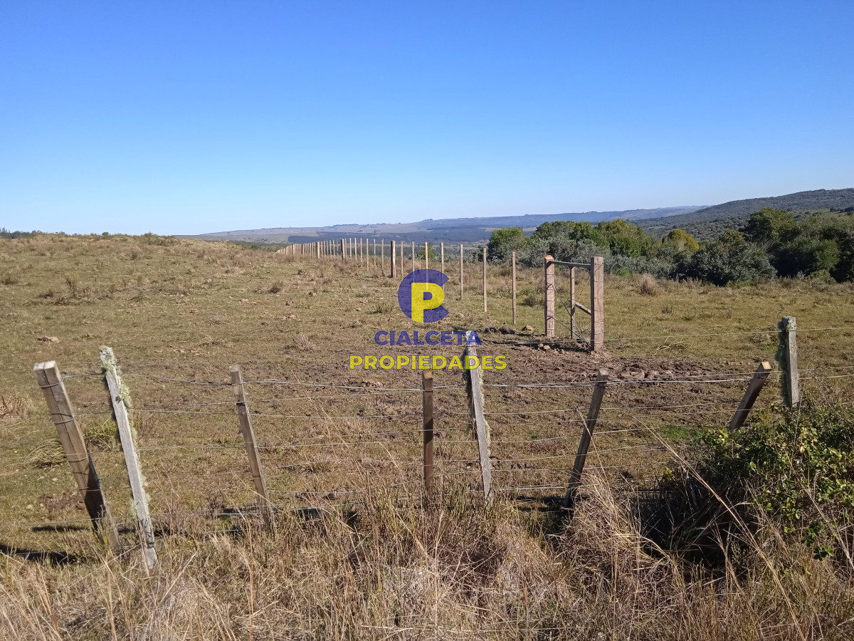 Campo Ref.283 - 273 hectáreas y media en Lavalleja