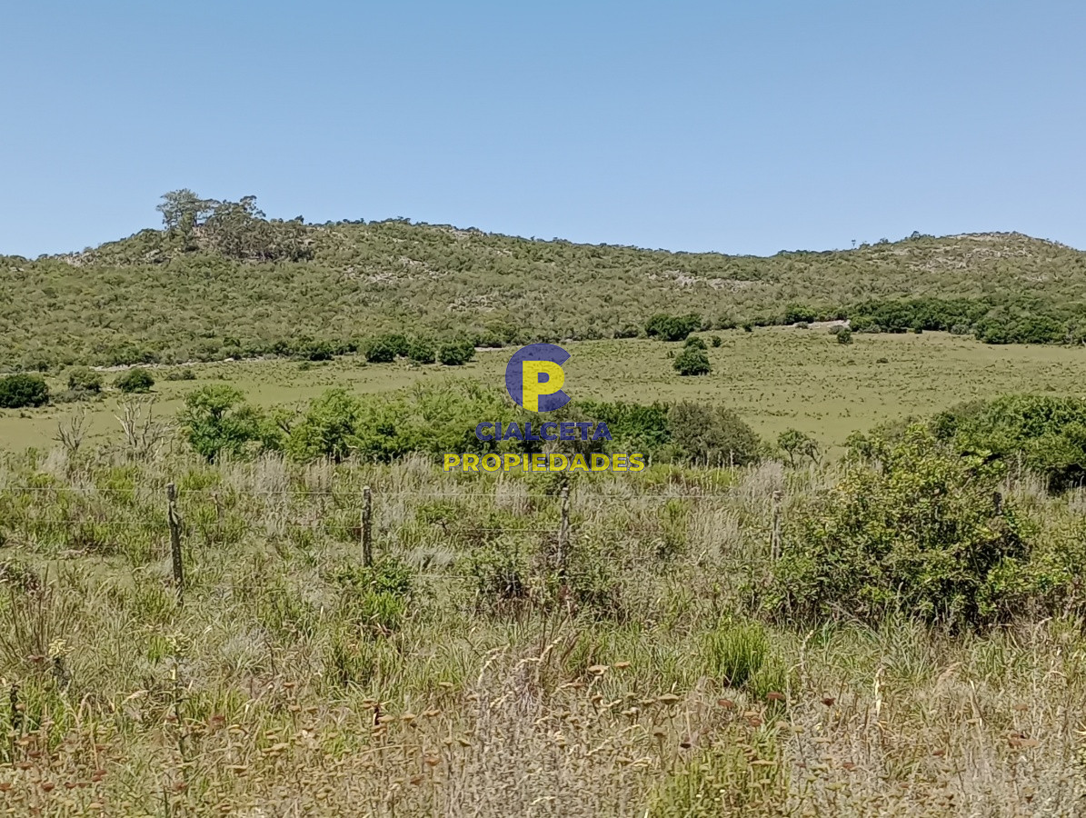 Campo Ref.77 - 419 hectáreas en Rocha