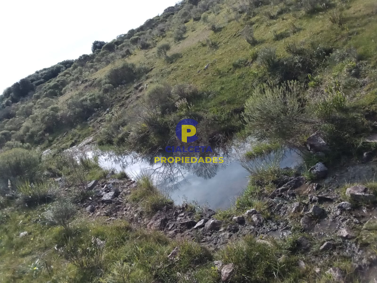 Campo Ref.100 - 106 hectáreas en lavalleja