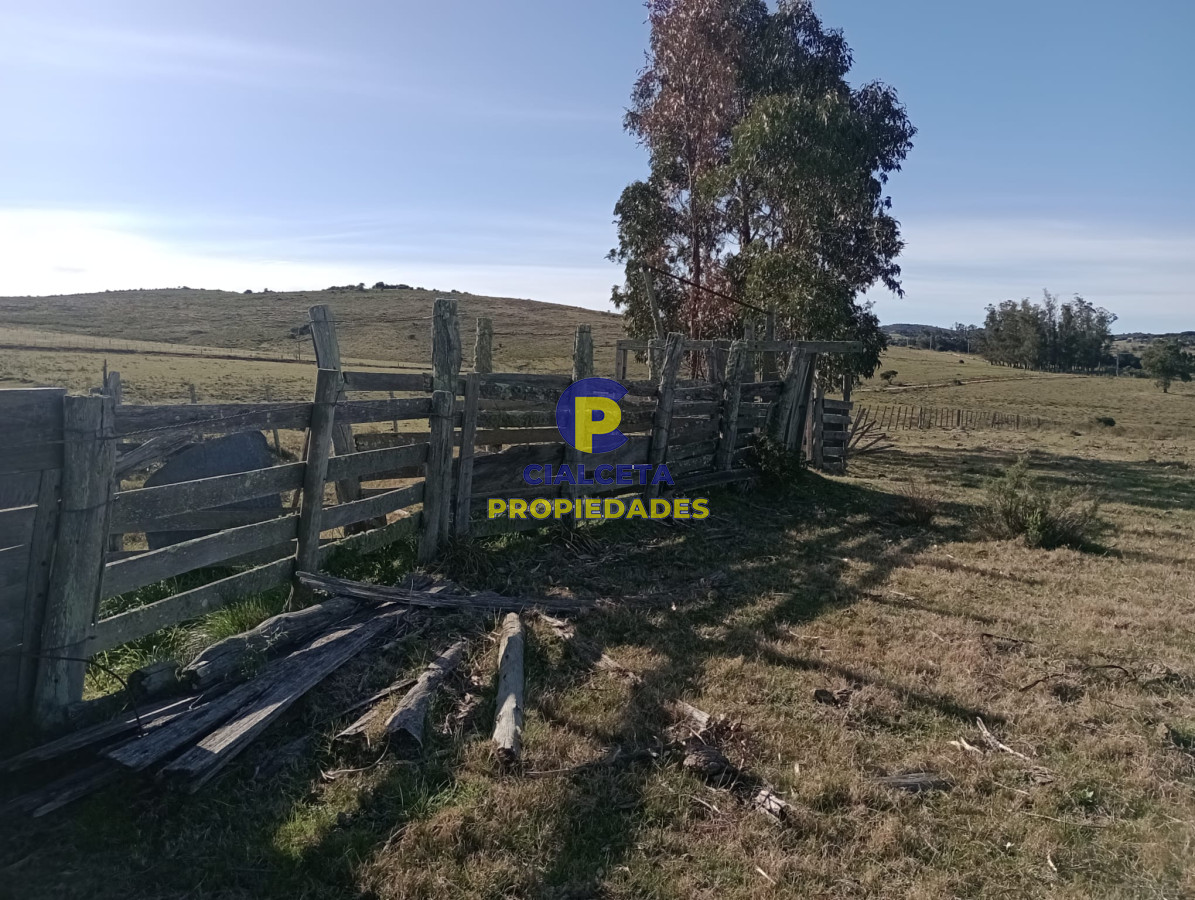 Campo Ref.298 - 82 hectáreas en Pueblo Edén